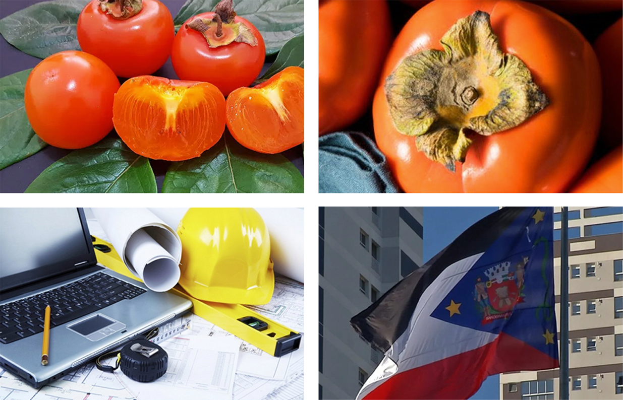 Contexto Caqui Engenharia